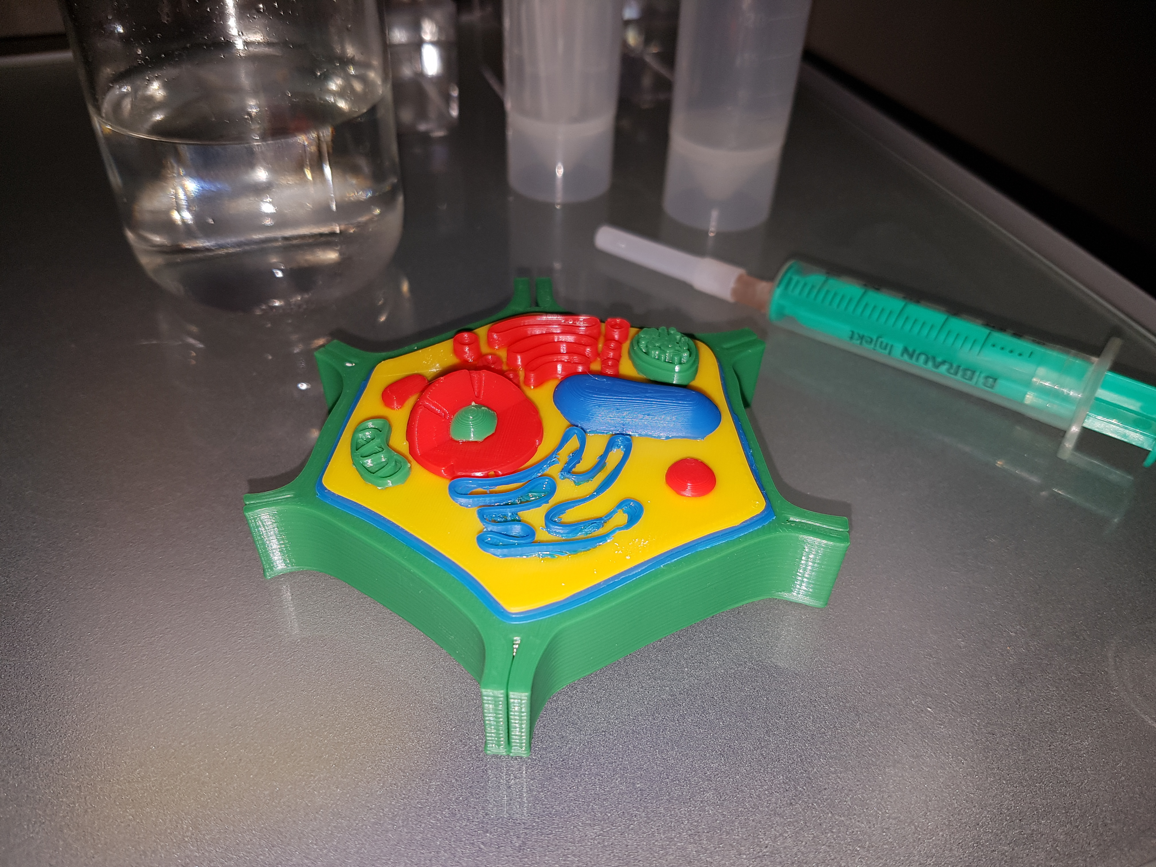 Plant Cell 3d